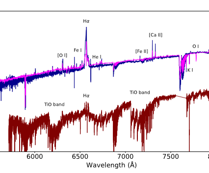 Muñoz-Sanchez et al. 2024b: The dramatic transition of the extreme Red Supergiant WOH G64 to a Yellow Hypergiant