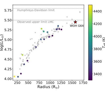 de Wit et al. 2025: Investigating episodic mass loss in evolved massive stars: III. Spectroscopy of dusty massive stars in three northern galaxies